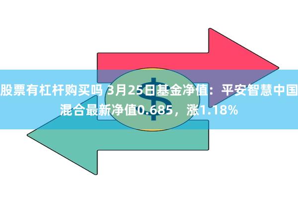 股票有杠杆购买吗 3月25日基金净值：平安智慧中国混合最新净值0.685，涨1.18%