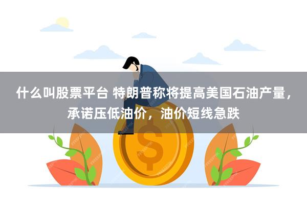 什么叫股票平台 特朗普称将提高美国石油产量，承诺压低油价，油价短线急跌