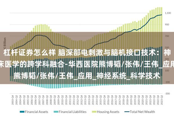 杠杆证券怎么样 脑深部电刺激与脑机接口技术：神经科学、工程学与临床医学的跨学科融合-华西医院熊博韬/张伟/王伟_应用_神经系统_科学技术