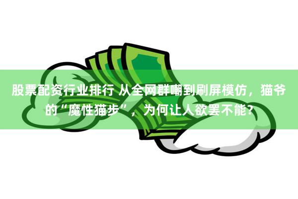 股票配资行业排行 从全网群嘲到刷屏模仿，猫爷的“魔性猫步”，为何让人欲罢不能？