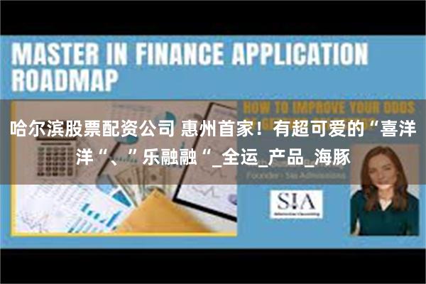哈尔滨股票配资公司 惠州首家！有超可爱的“喜洋洋“、”乐融融“_全运_产品_海豚