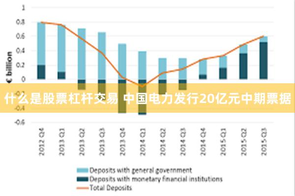 什么是股票杠杆交易 中国电力发行20亿元中期票据